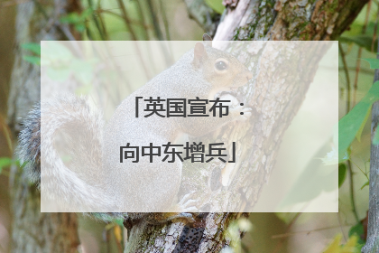 英国宣布：向中东增兵
