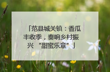 范县城关镇：香瓜丰收季，奏响乡村振兴 “甜蜜乐章”