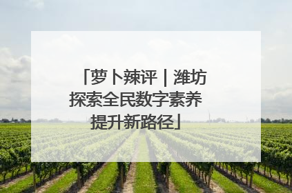 萝卜辣评｜潍坊探索全民数字素养提升新路径