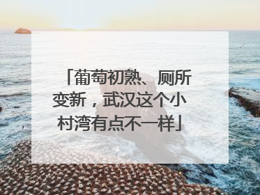 葡萄初熟、厕所变新，武汉这个小村湾有点不一样