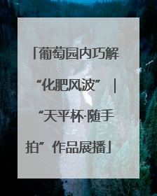 葡萄园内巧解“化肥风波”｜“天平杯·随手拍”作品展播