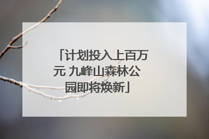 计划投入上百万元 九峰山森林公园即将焕新