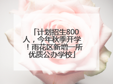 计划招生800人，今年秋季开学！雨花区新增一所优质公办学校