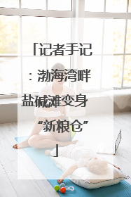 记者手记：渤海湾畔盐碱滩变身“新粮仓”