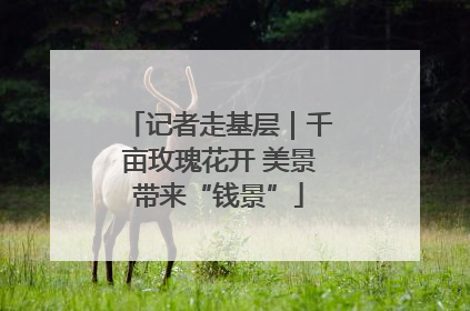 记者走基层｜千亩玫瑰花开 美景带来“钱景”
