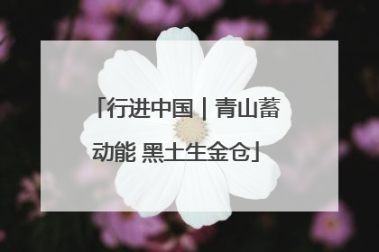 行进中国｜青山蓄动能 黑土生金仓