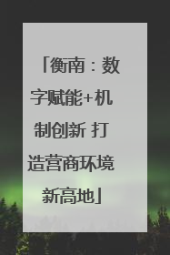 衡南：数字赋能+机制创新 打造营商环境新高地