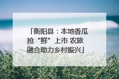 衡阳县:本地香瓜抢“鲜”上市 农旅融合助力乡村振兴