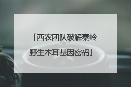 西农团队破解秦岭野生木耳基因密码