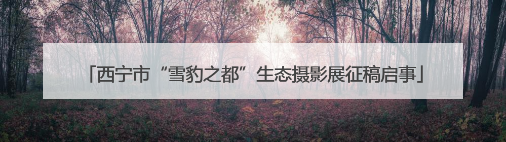 西宁市“雪豹之都”生态摄影展征稿启事