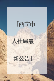 西宁市人社局最新公告