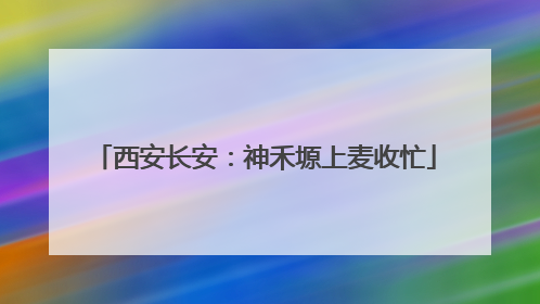 西安长安：神禾塬上麦收忙