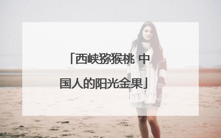 西峡猕猴桃 中国人的阳光金果
