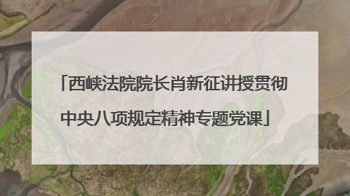 西峡法院院长肖新征讲授贯彻中央八项规定精神专题党课