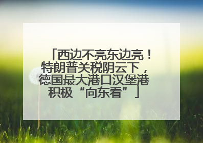 西边不亮东边亮！特朗普关税阴云下，德国最大港口汉堡港积极“向东看”