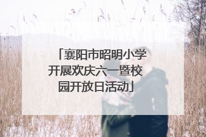 襄阳市昭明小学开展欢庆六一暨校园开放日活动