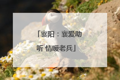襄阳：襄爱助听 情暖老兵
