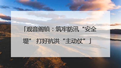 观音阁镇：筑牢防汛“安全堤” 打好抗洪“主动仗”