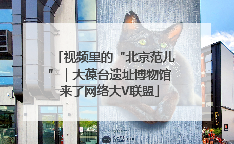视频里的“北京范儿”｜大葆台遗址博物馆来了网络大V联盟