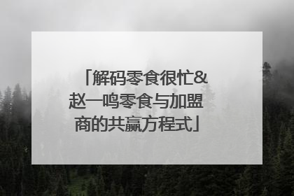 解码零食很忙&赵一鸣零食与加盟商的共赢方程式