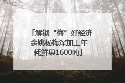 解锁“梅”好经济 余姚杨梅深加工年耗鲜果1600吨