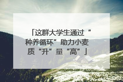 这群大学生通过“种养循环”助力小麦质“升”量“高”