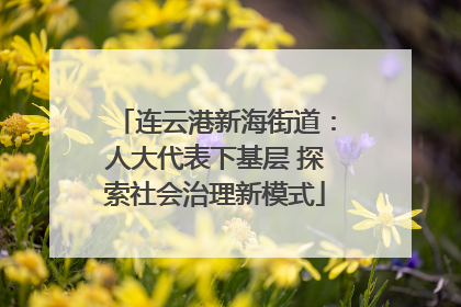 连云港新海街道：人大代表下基层 探索社会治理新模式