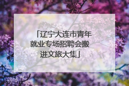 辽宁大连市青年就业专场招聘会搬进文旅大集