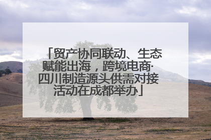 贸产协同联动、生态赋能出海，跨境电商·四川制造源头供需对接活动在成都举办