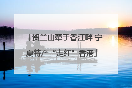 贺兰山牵手香江畔 宁夏特产“走红”香港