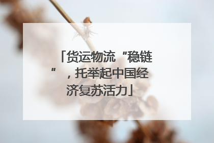 货运物流“稳链”，托举起中国经济复苏活力