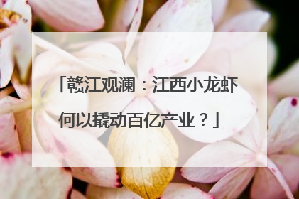 赣江观澜：江西小龙虾何以撬动百亿产业？