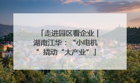 走进园区看企业｜湖南江华：“小电机”撬动“大产业”
