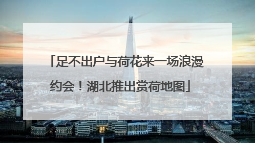 足不出户与荷花来一场浪漫约会！湖北推出赏荷地图