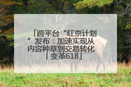 跨平台“红京计划”发布：加速实现从内容种草到交易转化丨变革618