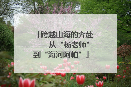 跨越山海的奔赴——从“杨老师”到“海河阿帕”