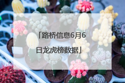 路桥信息6月6日龙虎榜数据