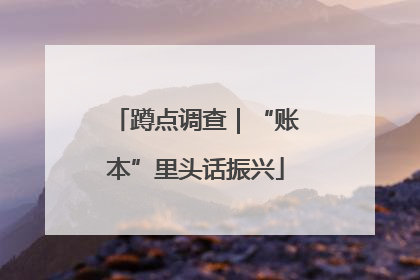 蹲点调查｜“账本”里头话振兴