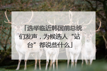 选举临近韩国前总统们发声，为候选人“站台”都说些什么