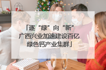 逐“绿”向“新” 广西兴业加速建设百亿绿色钙产业集群