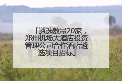 遴选数量20家，郑州机场大酒店投资管理公司合作酒店遴选项目招标