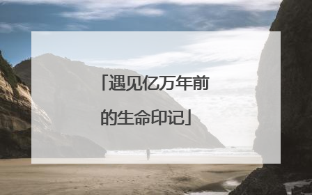 遇见亿万年前的生命印记