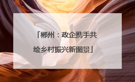 郴州：政企携手共绘乡村振兴新图景