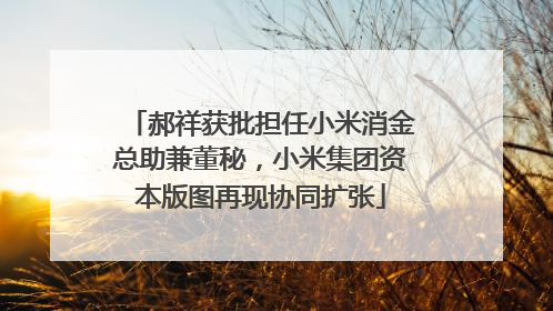 郝祥获批担任小米消金总助兼董秘，小米集团资本版图再现协同扩张