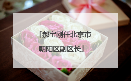 郝宝刚任北京市朝阳区副区长