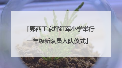 郧西王家坪红军小学举行一年级新队员入队仪式