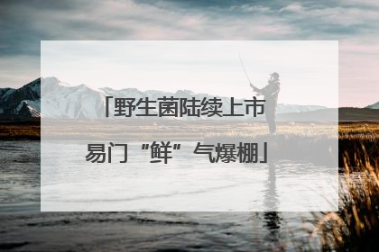 野生菌陆续上市 易门“鲜”气爆棚
