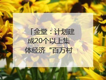 金堂：计划建成20个以上集体经济“百万村”｜成都县市新城高质量发展