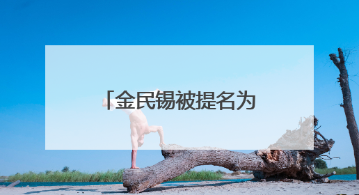 金民锡被提名为韩国国务总理
