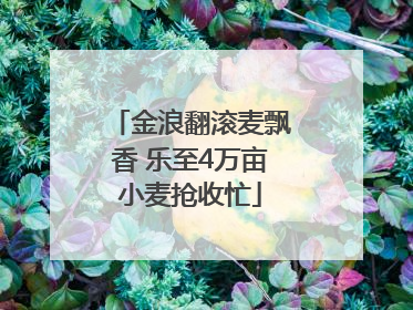 金浪翻滚麦飘香 乐至4万亩小麦抢收忙